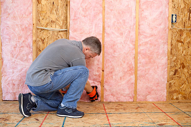 Best Specialized Insulation Services in Evart, MI